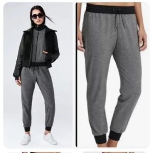 Athleta x Derek Lam IOC Joggers Size Medium